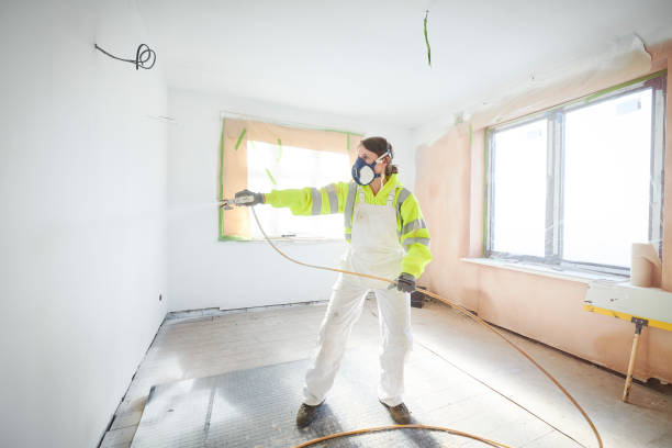 Mold Documentation for Insurance Claims in La Grange Park, IL