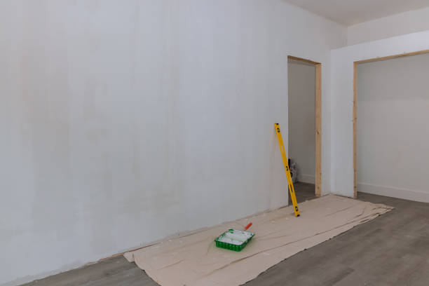 Reliable La Grange Park, IL Mold Removal Solutions