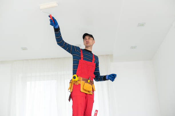 Best Attic Mold Removal  in La Grange Park, IL